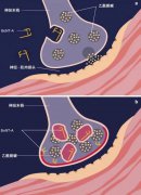 一看吓一跳，才发现注射瘦脸你居然是如此的一个秀儿~