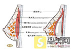 硅胶隆胸手术疼吗？疼痛时间维持多久？